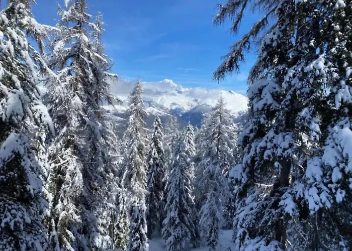 L'edelweiss Appartement La Plagne-Tarentaise