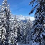 L'edelweiss Apartamento